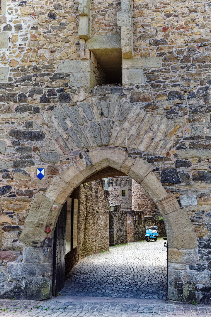 Burg Lichtenberg/Pfalz  (4)