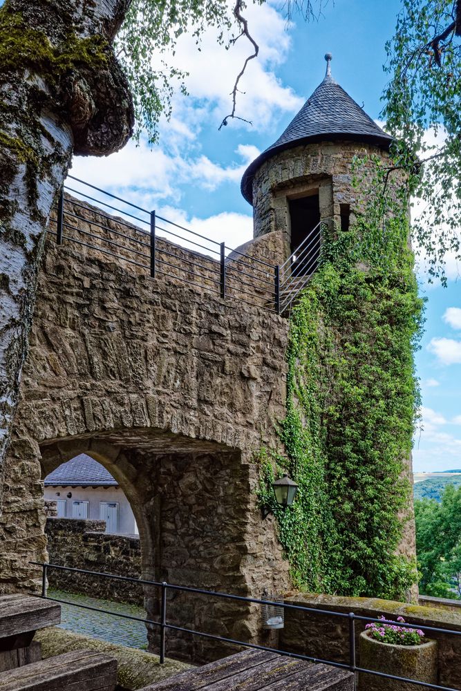 Burg Lichtenberg/Pfalz  (7)