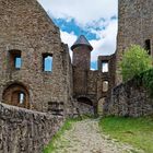 Burg Lichtenberg/Pfalz  (8)