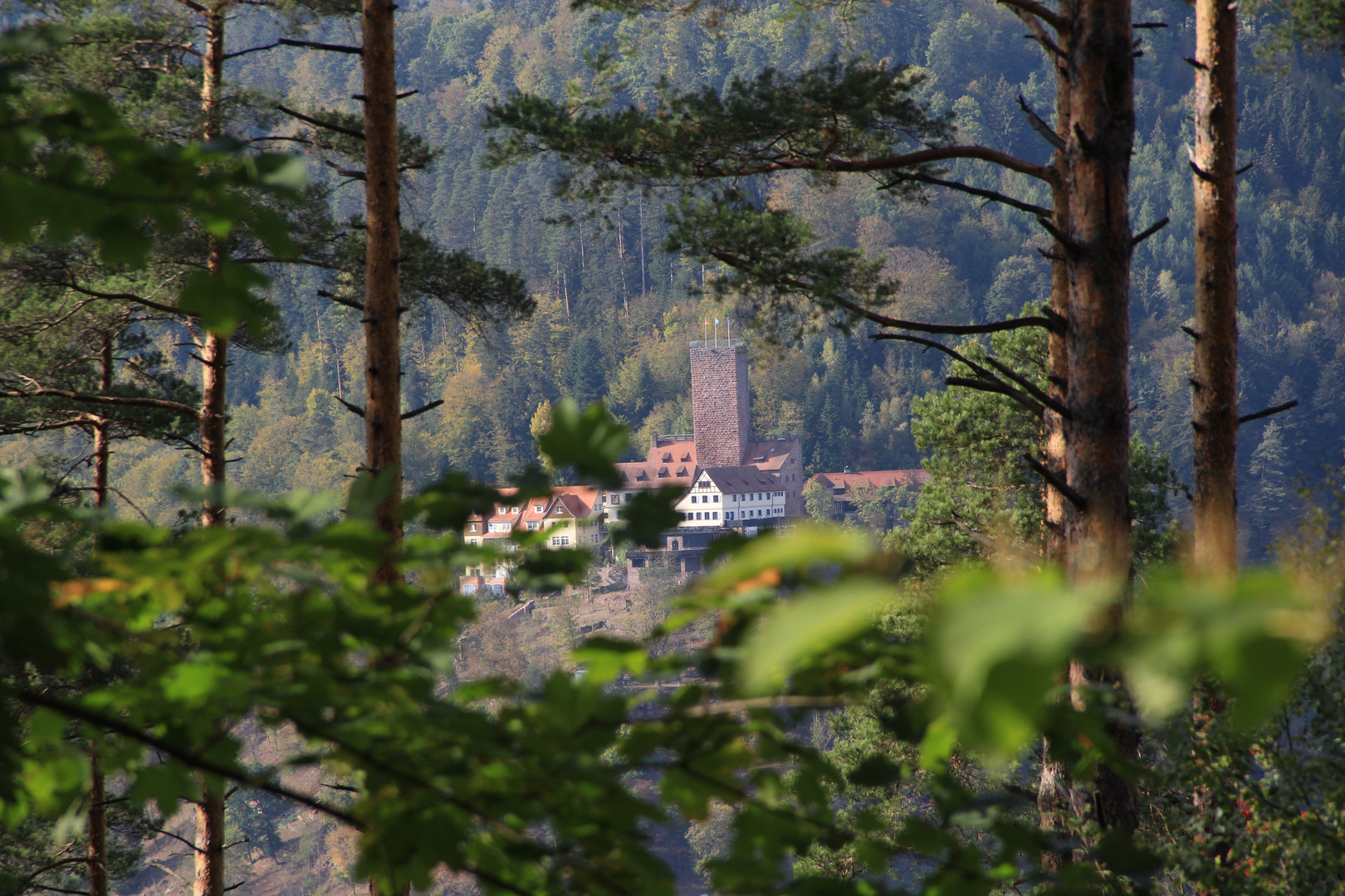 Burg Liebenzell