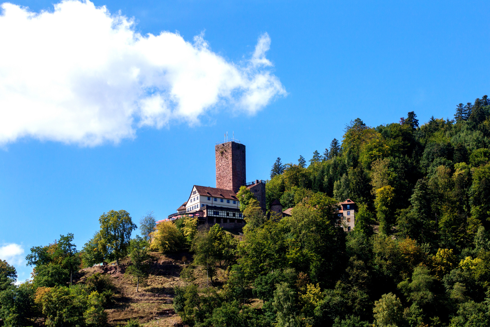 Burg Liebenzell