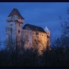 Burg Liechtenstein (2)