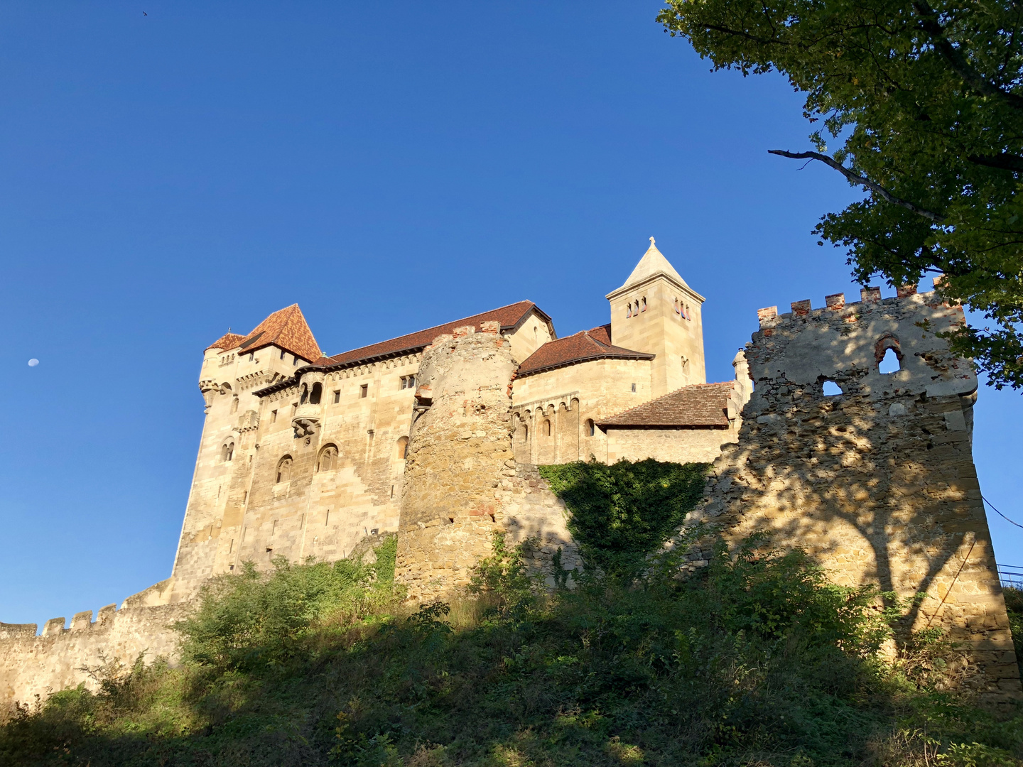 Burg Liechtenstein 