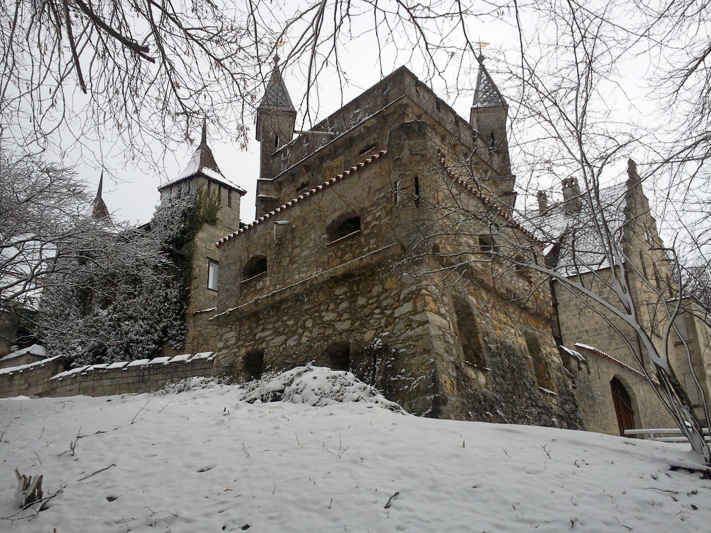 Burg Liechtenstein