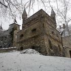 Burg Liechtenstein