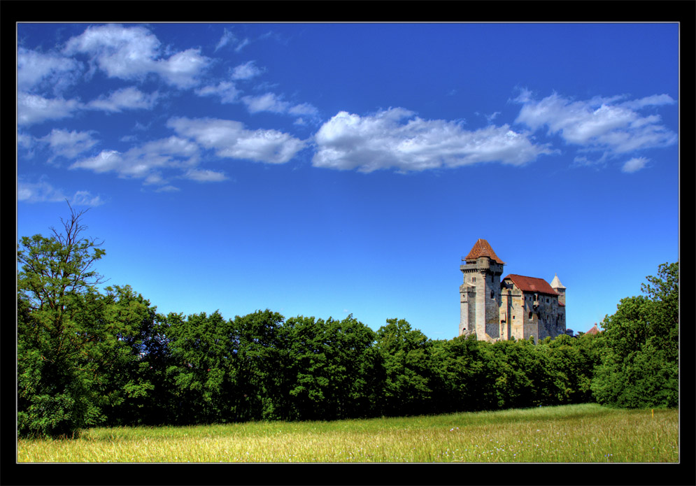 Burg Liechtenstein