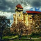 Burg Liechtenstein bei Mödling