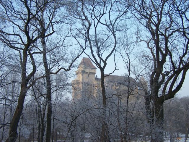 Burg Liechtenstein