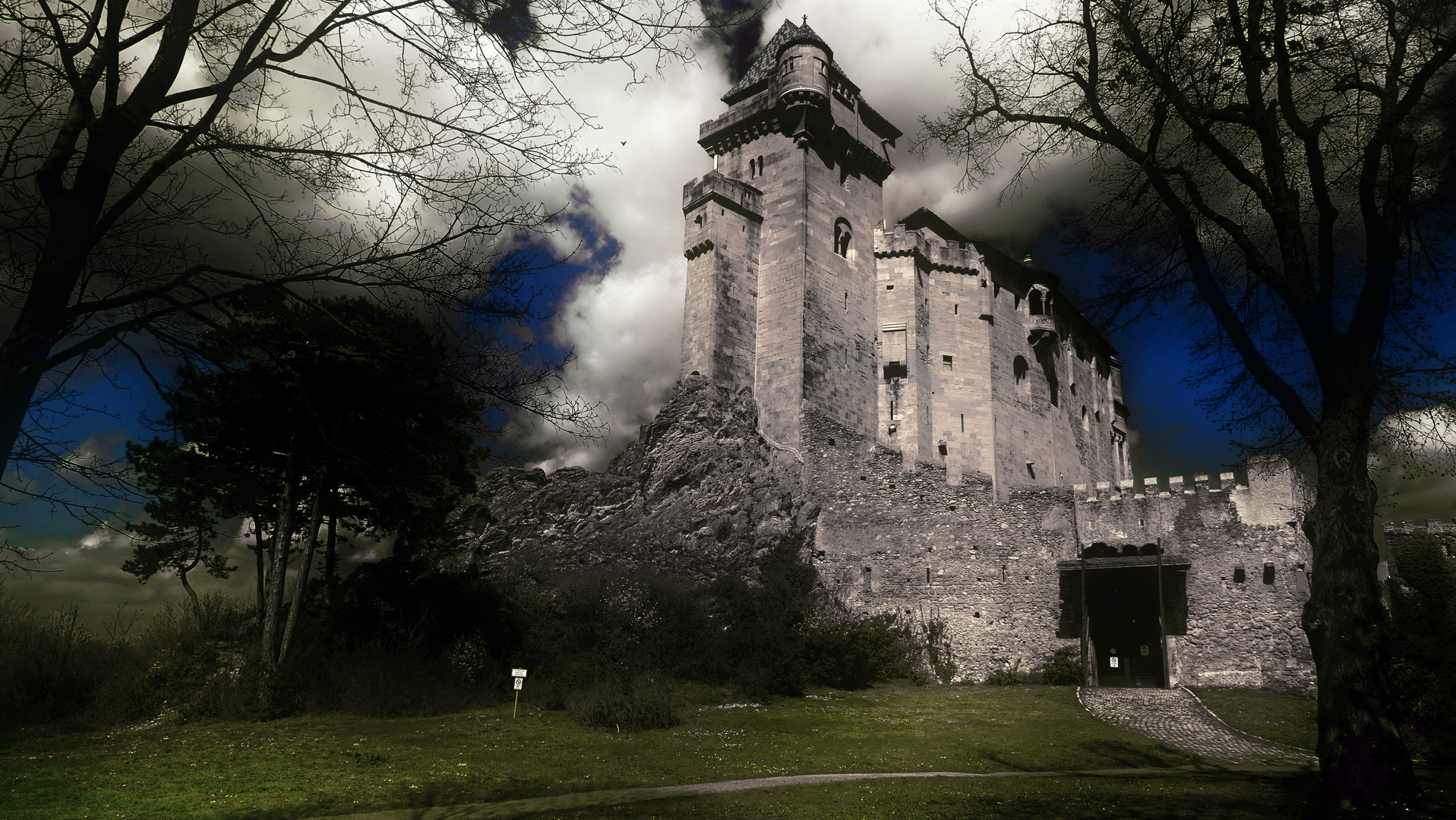 Burg Liechtenstein