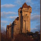 Burg Liechtenstein