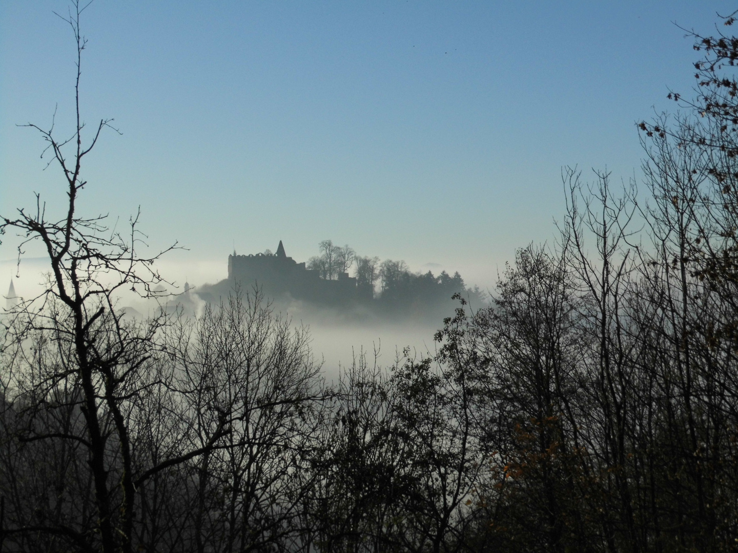 Burg Lindenfels in Nebel und Herbstwald