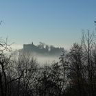 Burg Lindenfels in Nebel und Herbstwald