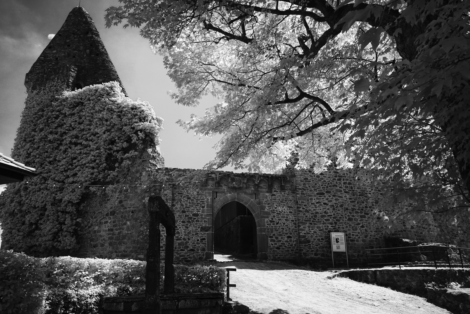 Burg Lindenfels IR 