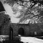 Burg Lindenfels IR 