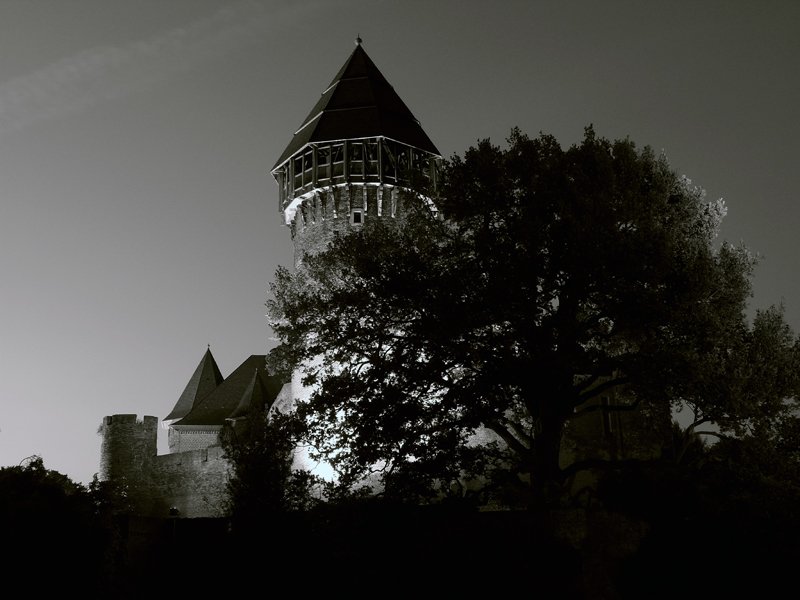 Burg Linn 3