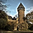 Burg Linn (HDR)