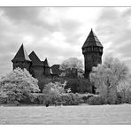 Burg Linn im Gegenlicht