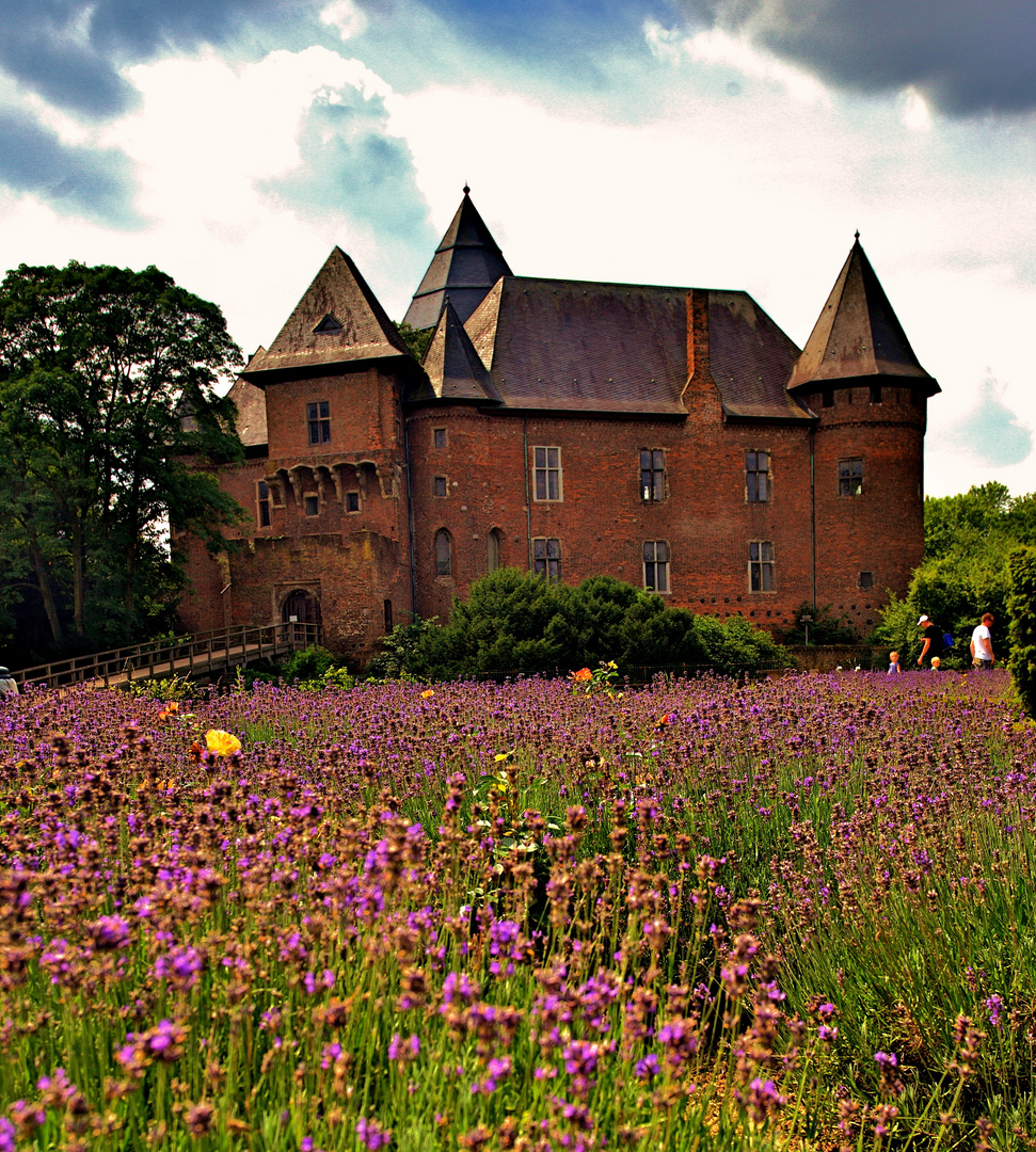 Burg Linn im Lavendel .....