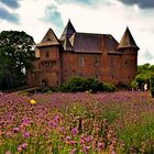 Burg Linn im Lavendel .....