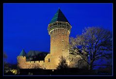 Burg Linn in Krefeld (2)