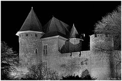 Burg Linn in sw