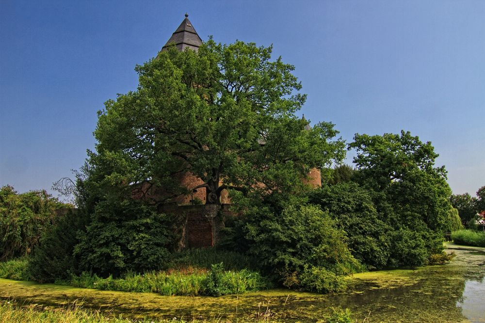 Burg Linn IV