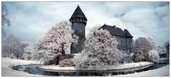 Burg Linn Panorama