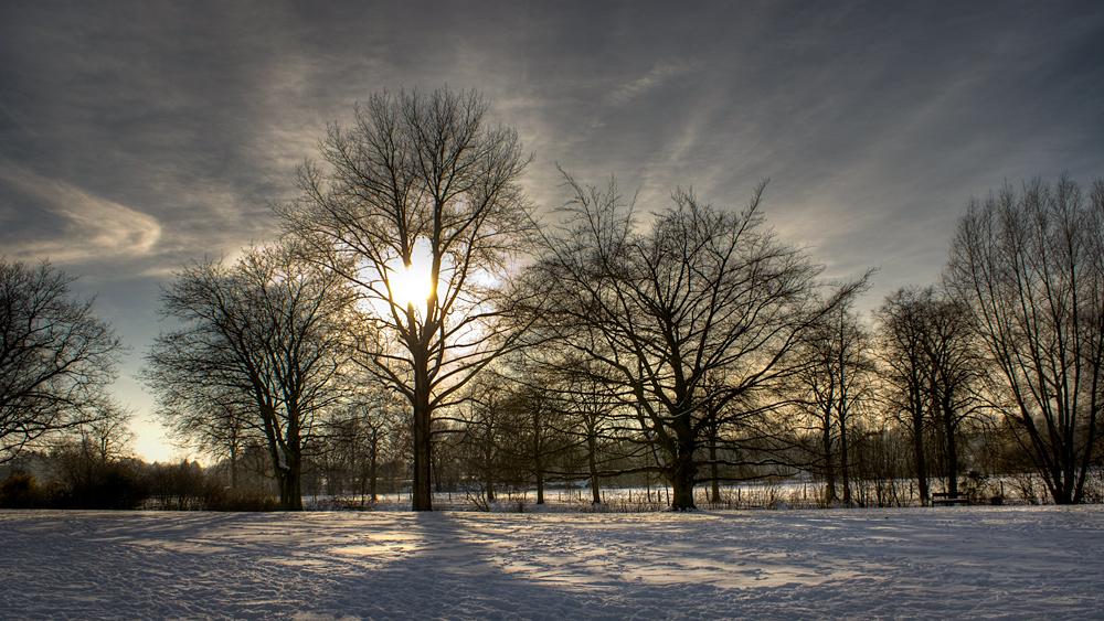 Burg Linn Park im Winter