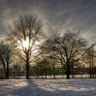 Burg Linn Park im Winter