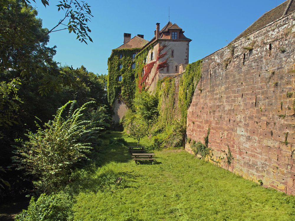 Burg Lützelstein in La Petite-Pierre im schönen Elsass