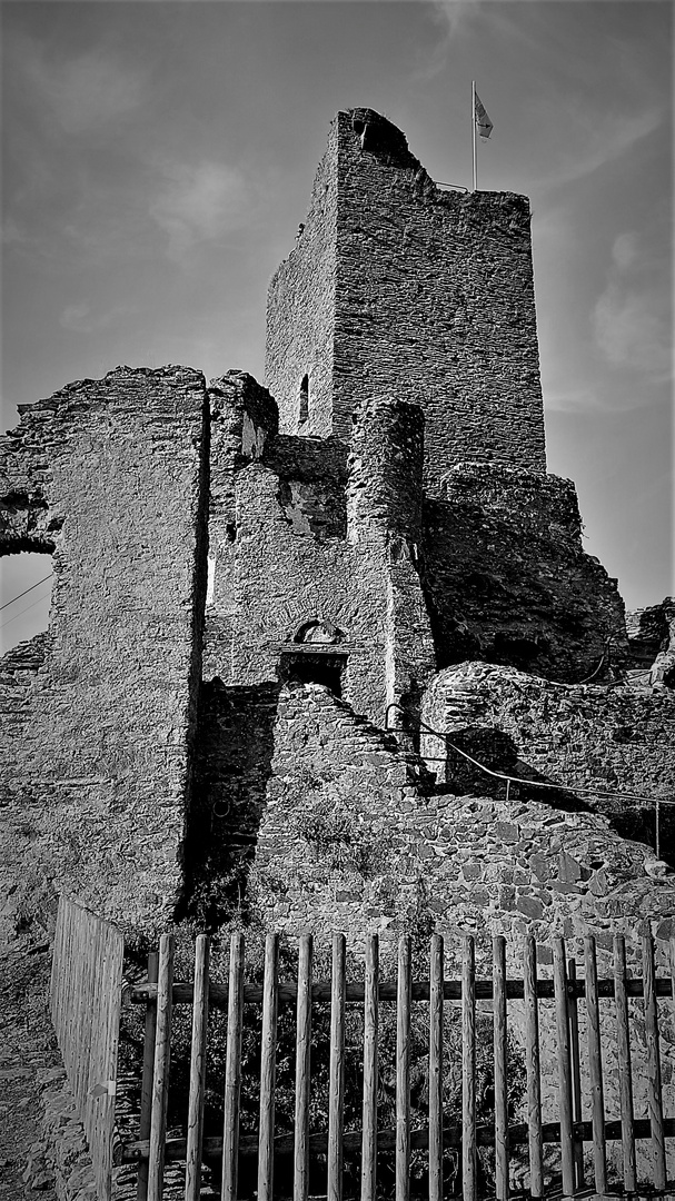 Burg Manderscheid - Die Niederburg 