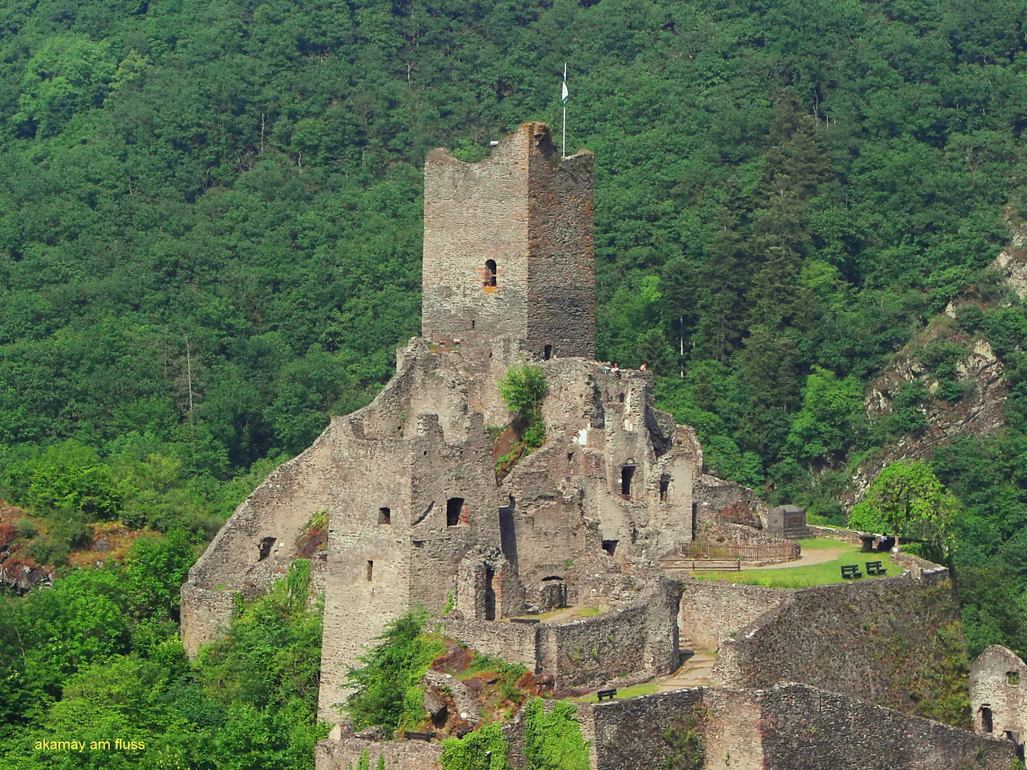 Burg Manderscheid (I) - Eifel