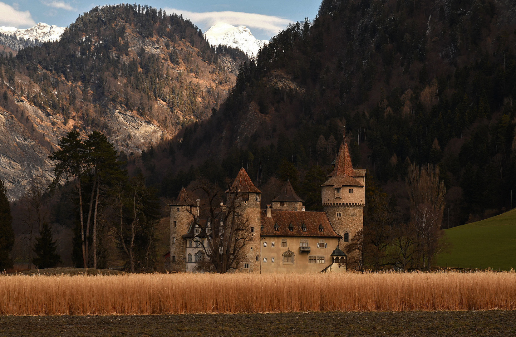 Burg "Marschlins" 