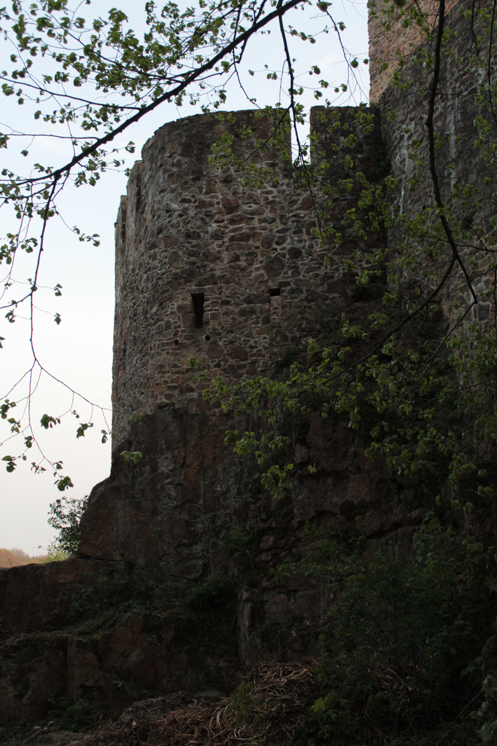 Burg Mauer