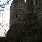 Burg Mauer
