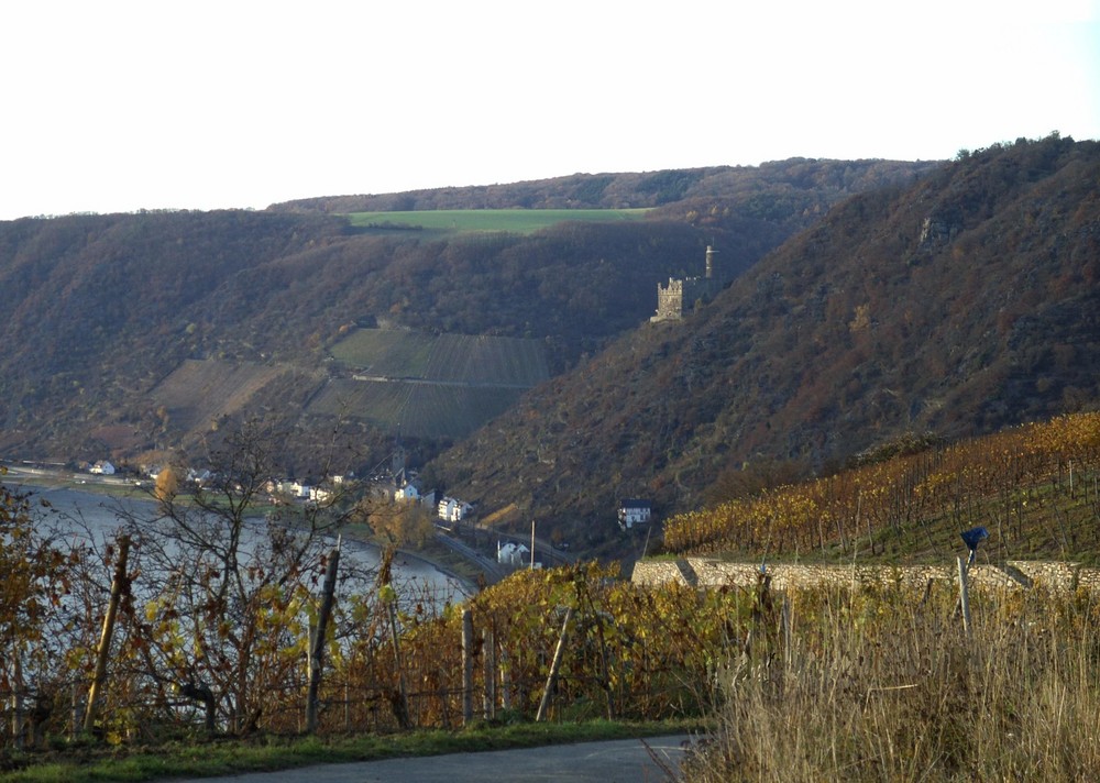 Burg Maus (1)