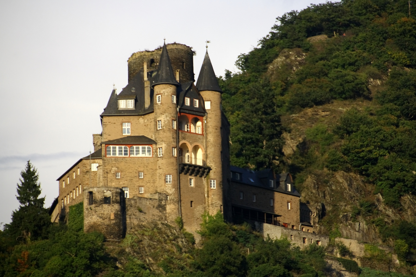 Burg Maus - auf 98 m ü. NN im Mittelrheintal