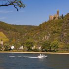 Burg Maus im Herbst