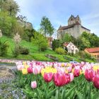 Burg Meersburg