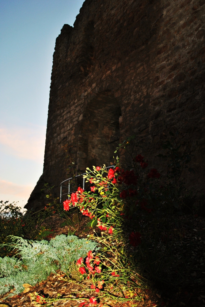 Burg Mellnau