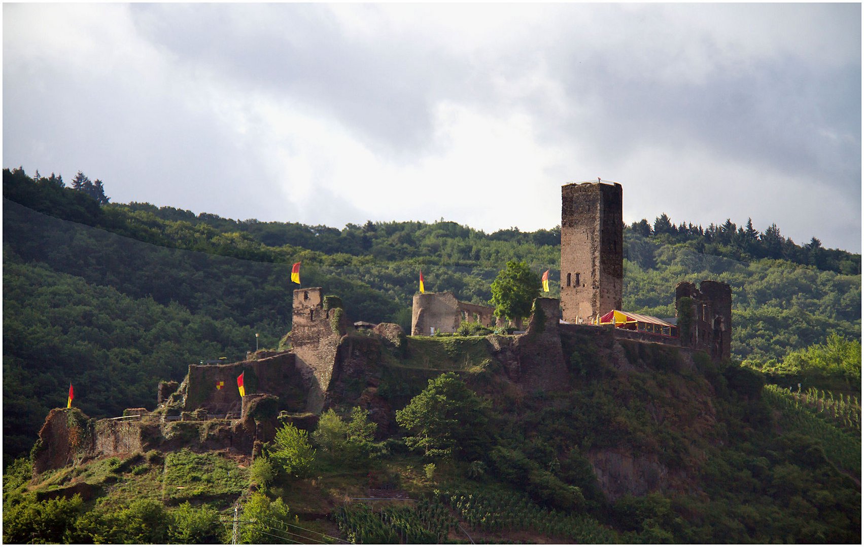 burg metternich