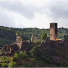 burg metternich