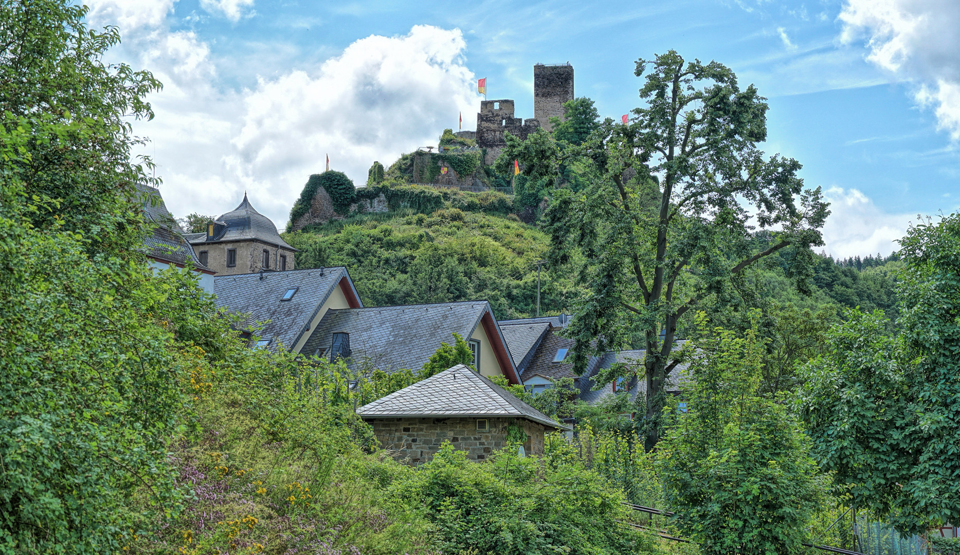 Burg Metternich