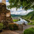 Burg Metternich Aussicht 6