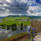 Burg Metternich Aussicht 8