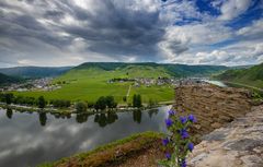 Burg Metternich Aussicht 8