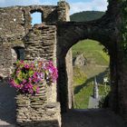 Burg Metternich bei Beilstein