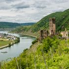 Burg Metternich bei Beilstein/Mosel 5