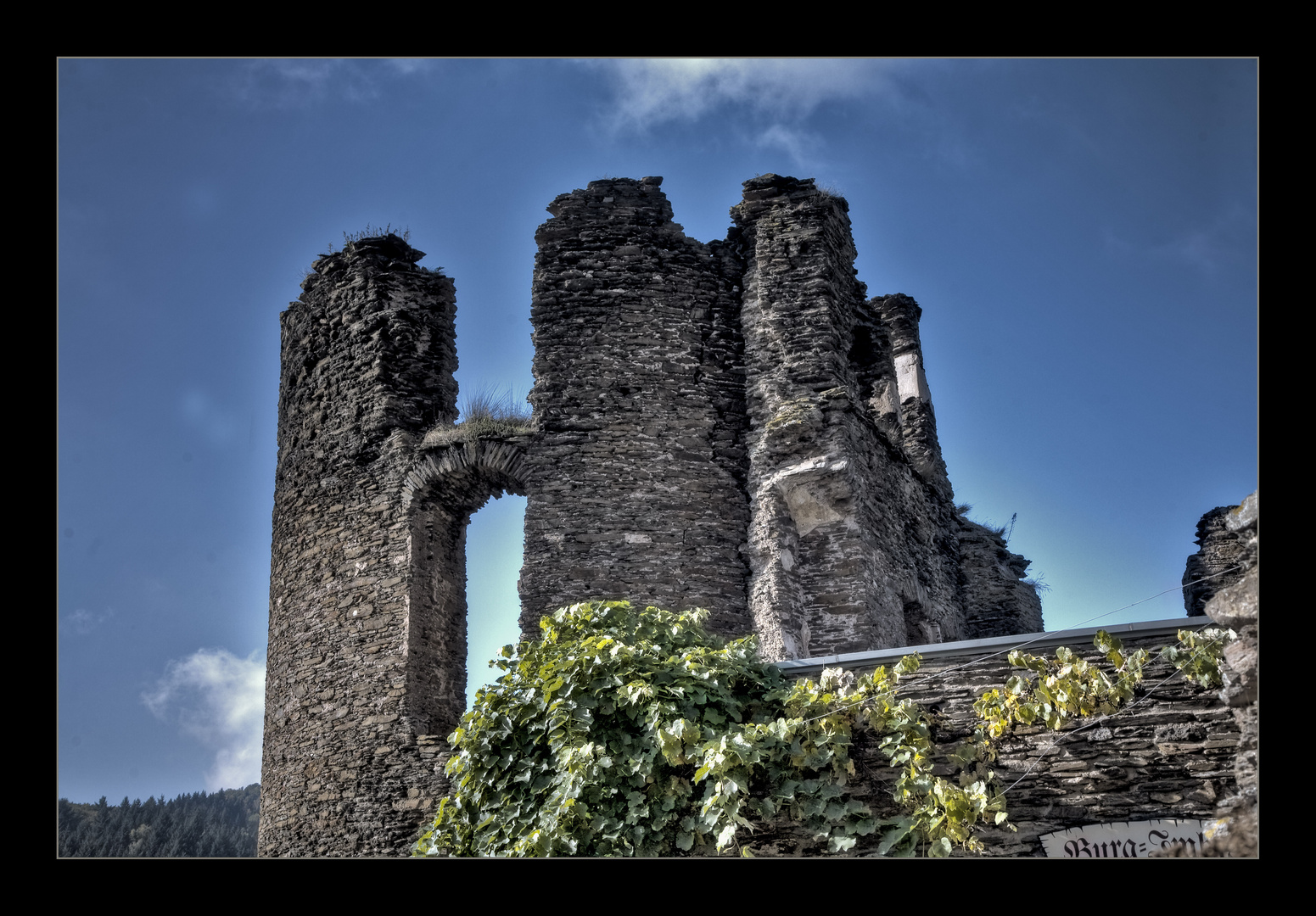 Burg Metternich.