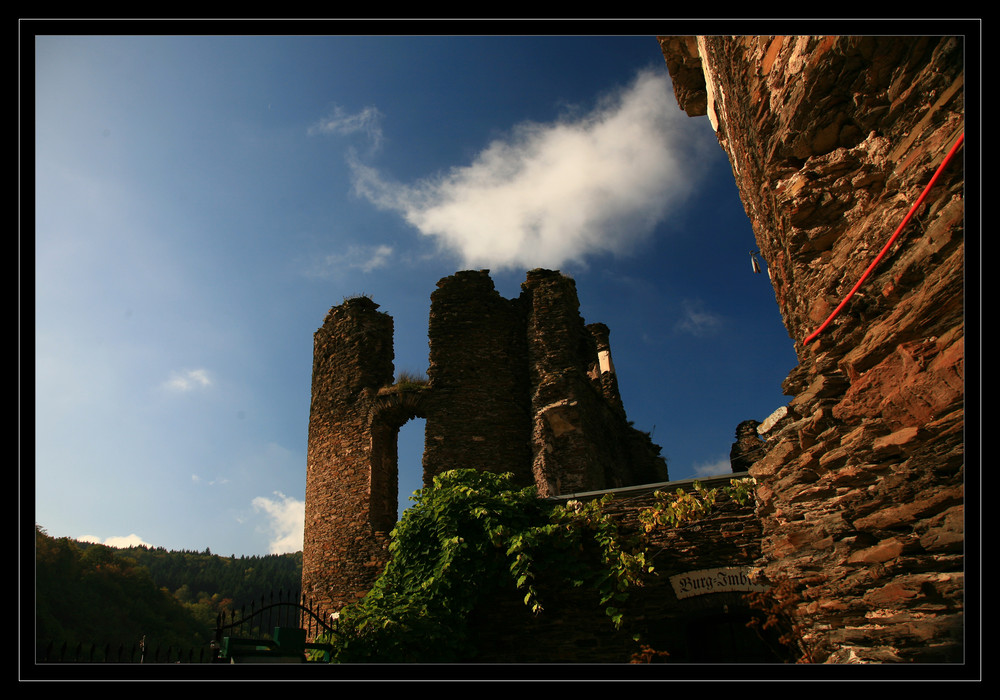 Burg Metternich.4